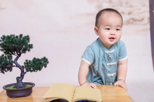 长葛可爱的企鹅宝宝